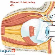 (Bấm mí) Nhấn mí mắt có ảnh hưởng gì không? Xét về tướng số và thị lực