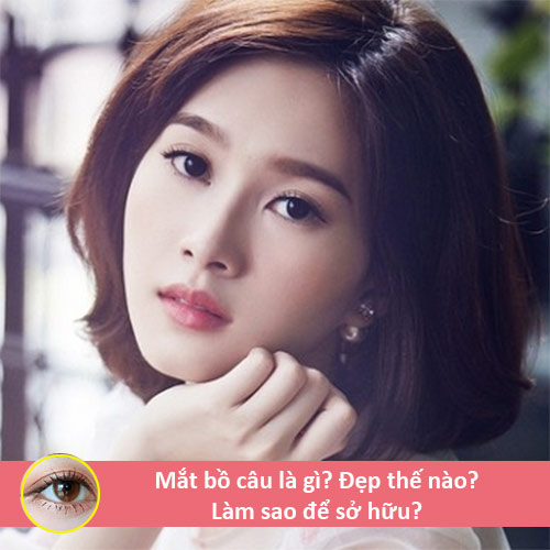 Đôi mắt bồ câu là gì? Mắt bồ câu đẹp như thế nào? Làm sao để có được?