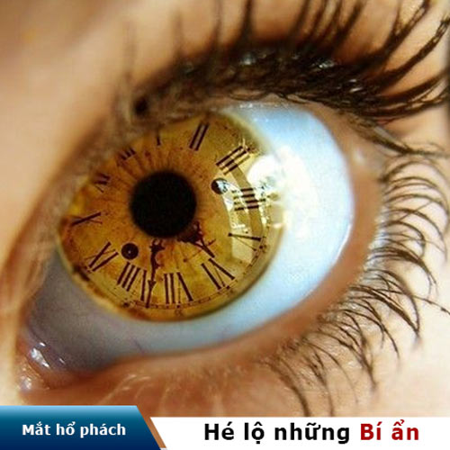 Đôi mắt màu hổ phách là gì? Cách để có đôi mắt hổ phách đẹp hoàn hảo!!!